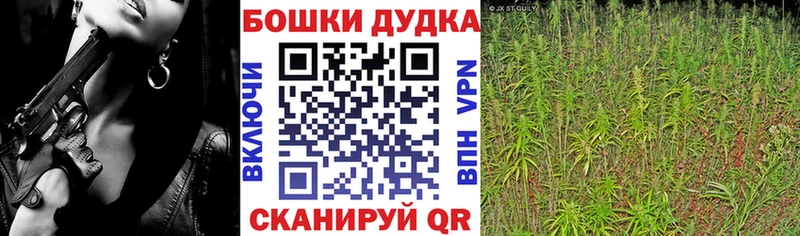 Канабис сатива  Янаул 